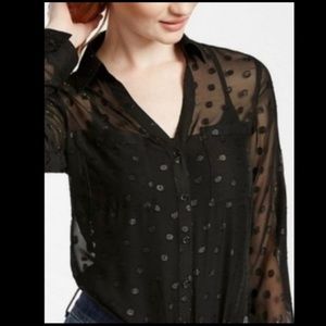 Express the portofino sheer black polka do…